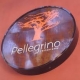 Pellegrino